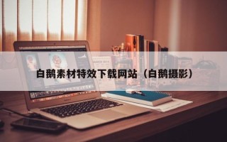 阿里白鹅素材特效下载网站（白鹅摄影）